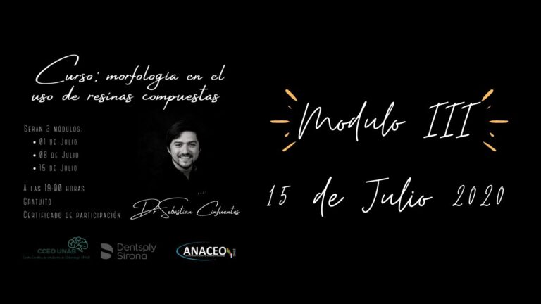 Talleres de Cerámica en Los Molares: Dónde Encontrarlos