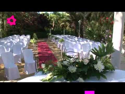 Mejores Empresas de Catering para Bodas en Los Palacios y Villafranca