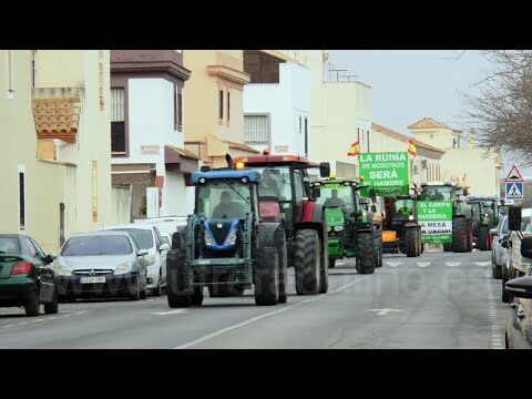 Normativas de Construcci&oacute;n en Utrera: Lo que Necesitas Saber