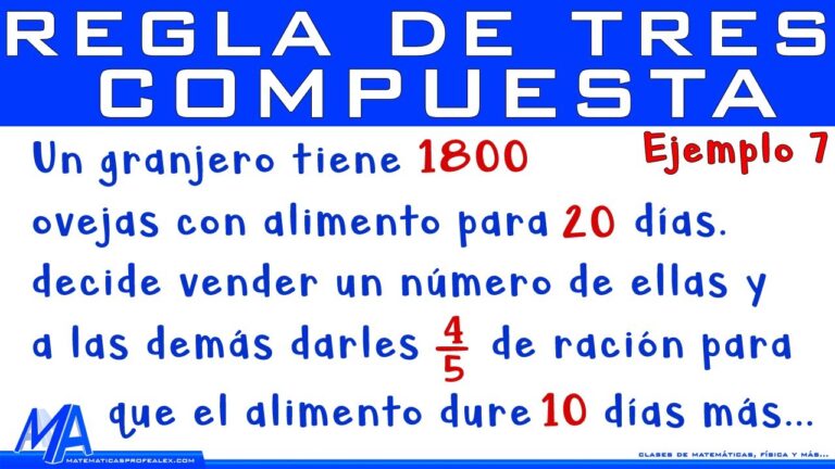 Servicios de Guarder&iacute;a para Mascotas en Las Cabezas de San Juan