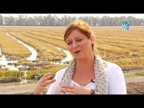 Gu&iacute;a para Comprar Productos de Belleza en Los Palacios y Villafranca