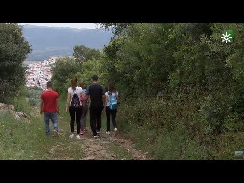 Rutas de Senderismo en Los Molares: Gu&iacute;a Completa