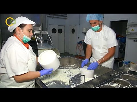 Mercados Artesanales en Morón de la Frontera: Una Guía Completa